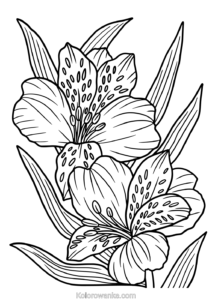 kolorowanki do druku dla dziewczyn 6 lat 5