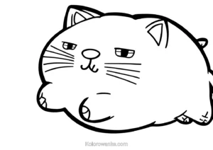 pusheen kolorowanka